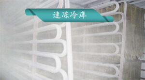 速凍冷庫(kù)安裝方案